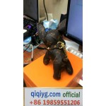 qiqiyg.com Official Whatsapp:+8619859551206 Luxury Handbags Shoes 2026 Hot Sale Wholesale Dropshipping G399 qiqiyg.com Official Whatsapp:+8619859551206 Luxury Handbags Shoes 2026 Hot Sale Wholesale Dropshipping G399